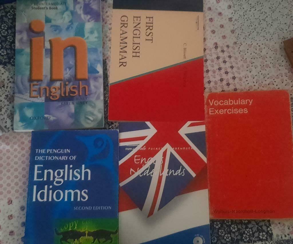 diverse Engelse studieboeken, Ophalen of Verzenden, Alpha, Zo goed als nieuw, Overige niveaus