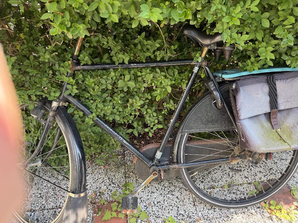 Gazelle herenfiets, zwart., Fietsen en Brommers, Ophalen, Terugtraprem, Gebruikt, 57 tot 61 cm