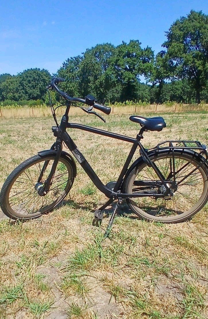 Gazelle Esprit, Fietsen en Brommers, Fietsen | Heren | Herenfietsen, Zo goed als nieuw, Gazelle, Versnellingen, Velgrem, Ophalen