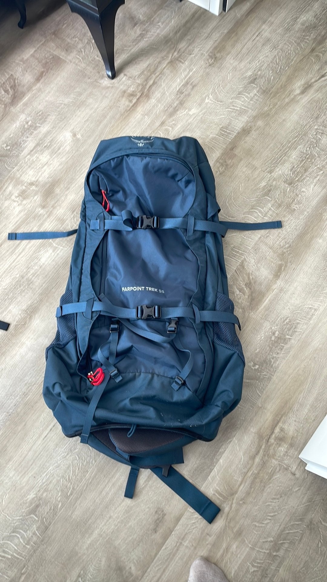 Osprey Farpoint Trek 55L incl reishoes, Ophalen, Zo goed als nieuw