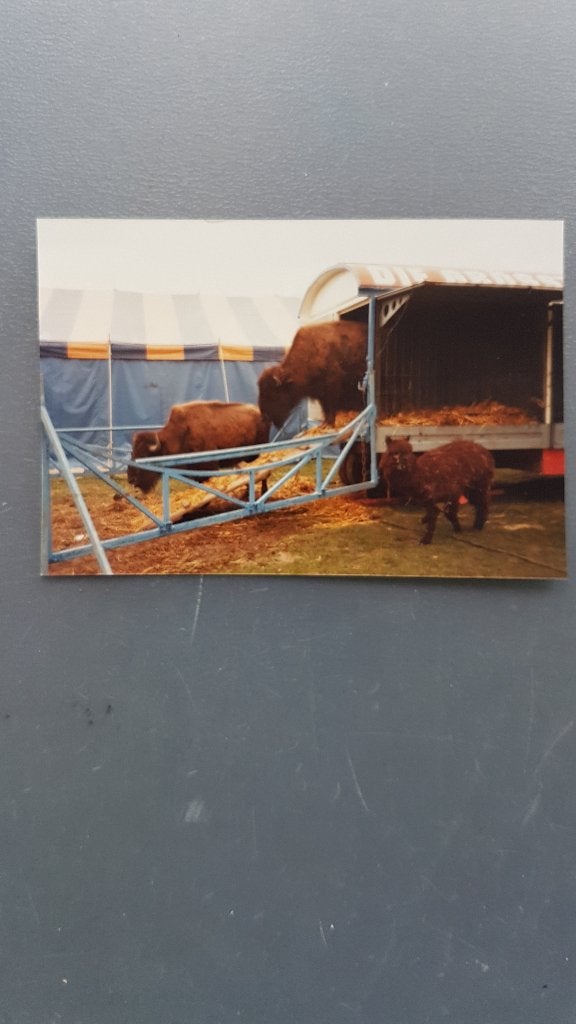 Circus Corty Althoff /  Deventer 1984., Verzamelen, Ophalen of Verzenden, Gebruikt