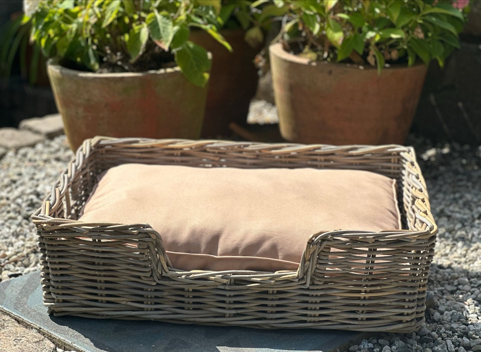 NIEUW Rotan hondenmand met kussen 68x50x20cm, Ophalen, Nieuw, Riet