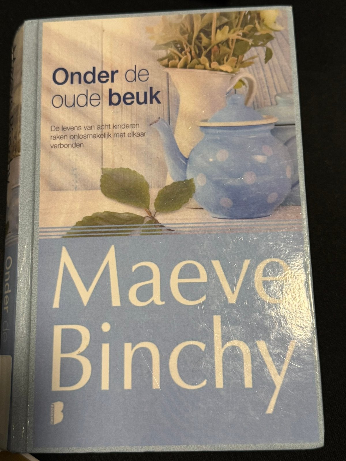 Onder de oude beuk, Maeve Binchy, Boeken, Ophalen of Verzenden, Zo goed als nieuw