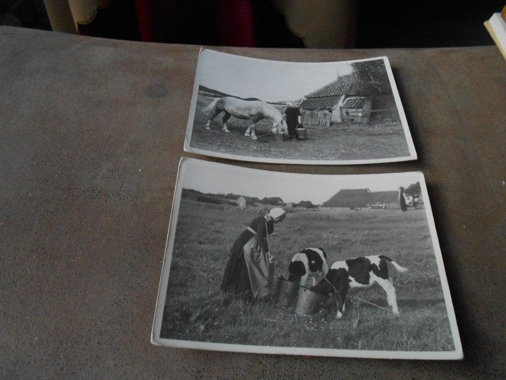 TERSCHELLING, Ophalen of Verzenden, 1980 tot heden, Gelopen, Waddeneilanden