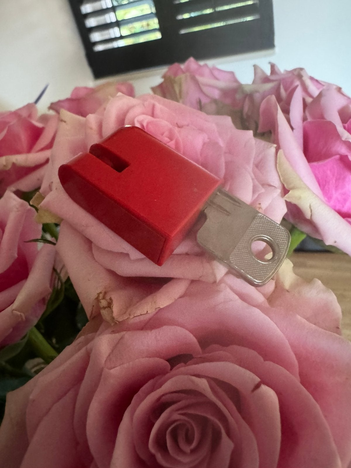 Rood slotje voor de ouderwetse groene ptt brievenbus, Tuin en Terras, Ophalen of Verzenden, Zo goed als nieuw, Kunststof