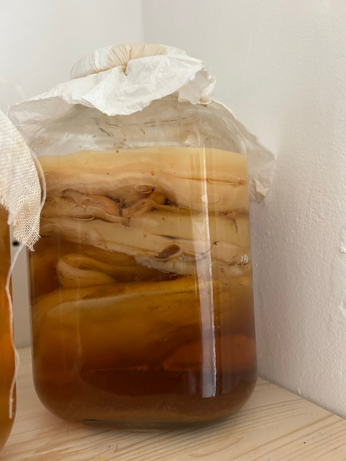 Super gezonde scoby, Ophalen