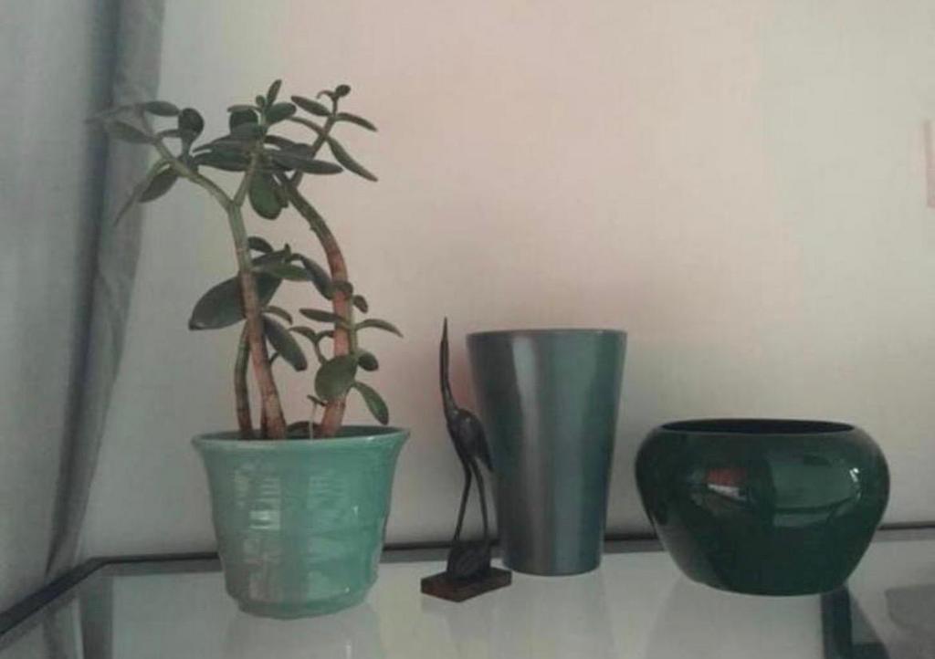 Mooie groene vintage bloempotten geglaz.jaren’50 kwaliteit, Tuin en Terras, Bloempotten, Rond, Binnen, Ophalen of Verzenden, Zo goed als nieuw