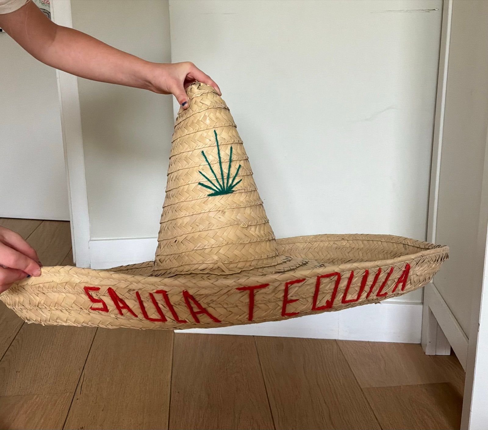 Sombrero Tequila Feest Hoed - Mexicaanse Stijl, Ophalen, Gebruikt, Hoed of Pruik, Overige