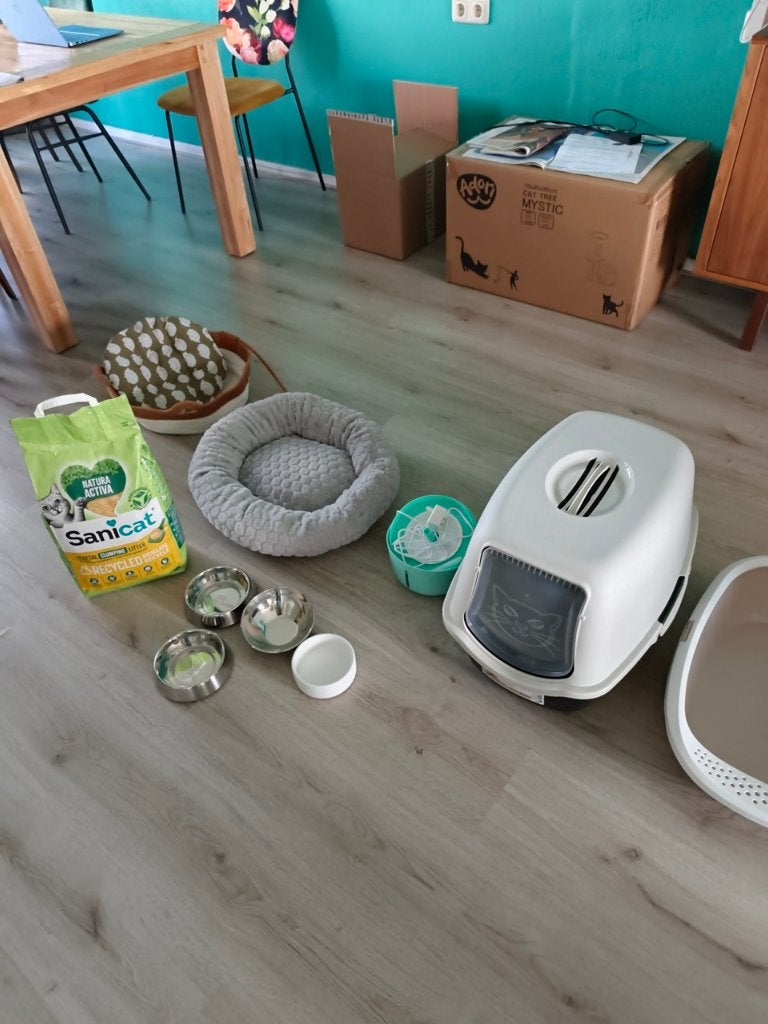 Diverse katten spullen als start pakket., Dieren en Toebehoren, Ophalen, Zo goed als nieuw