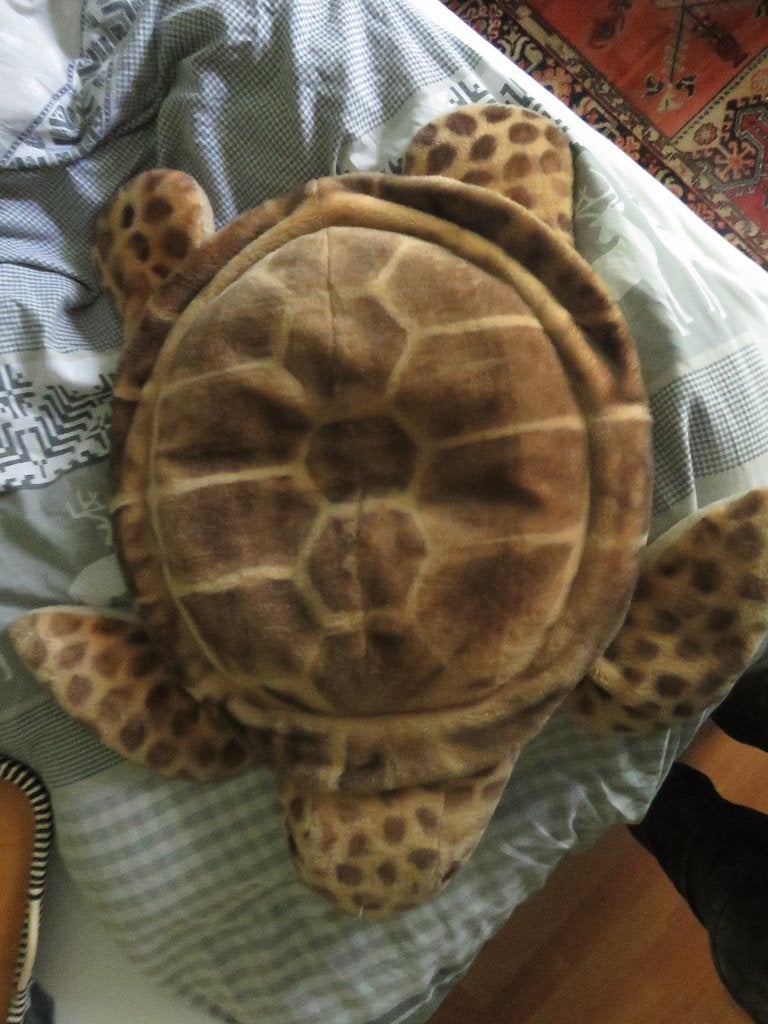 grote knuffel zeeschildpad, Ophalen of Verzenden, Gebruikt, Overige typen