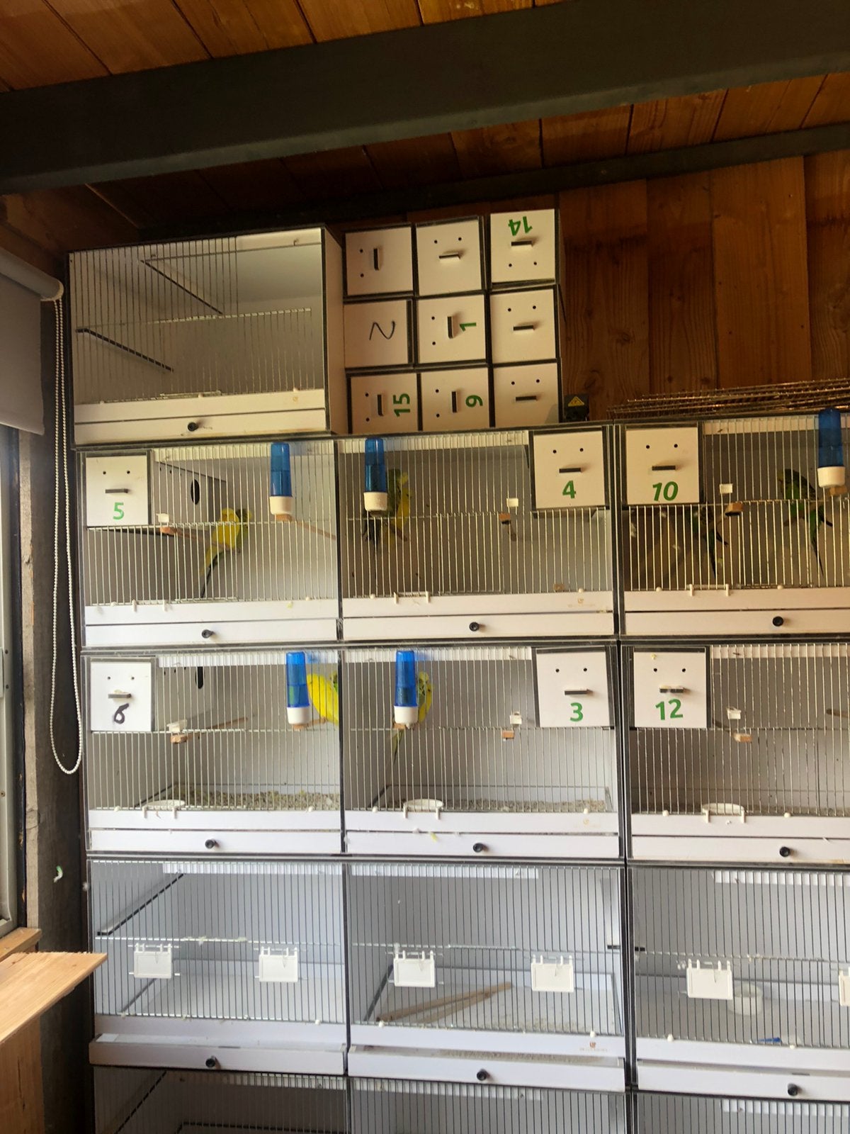 Broedkooien 8stuks, Ophalen of Verzenden, Zo goed als nieuw, Metaal, Vogelkooi