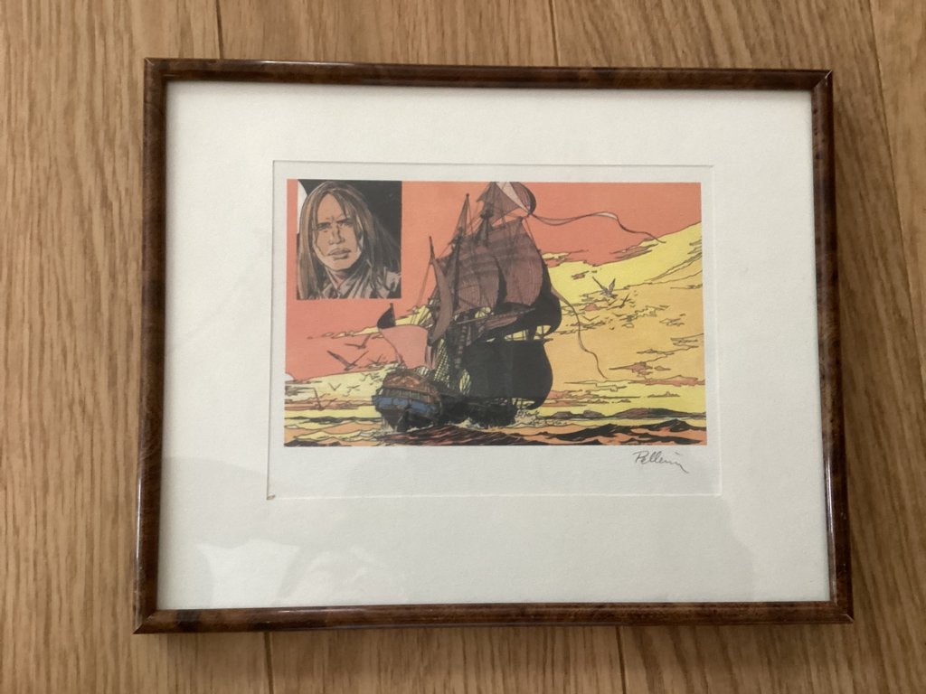 Artprint De Havik (Pellerin, in lijstje), Eén stripboek, Ophalen of Verzenden, Zo goed als nieuw