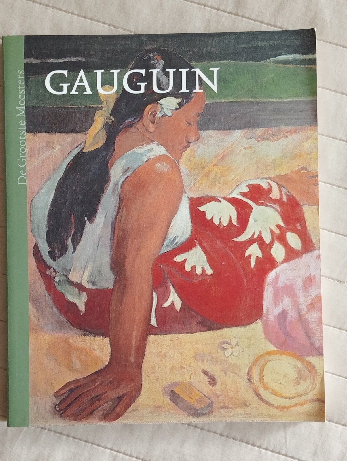 Paul Gauguin uitgave, Boeken, Kunst en Cultuur | Beeldend, Ophalen of Verzenden, Gelezen
