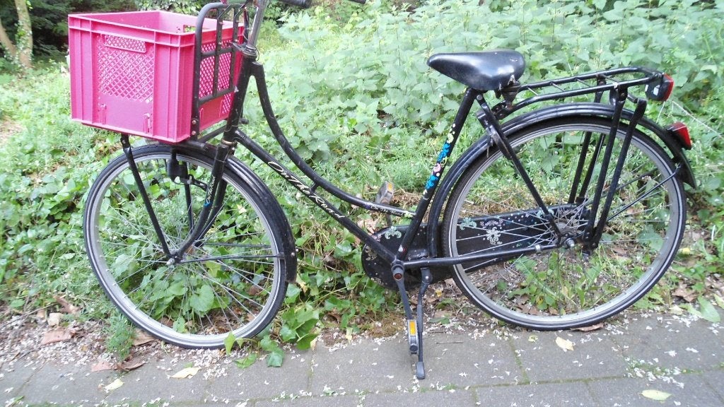 Leuke oma fiets 28 inch, Ophalen of Verzenden, Gebruikt