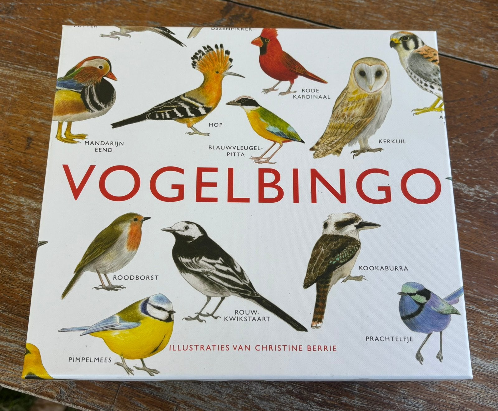 Spel vogel bingo, Vijf spelers of meer, Ophalen of Verzenden, Nieuw
