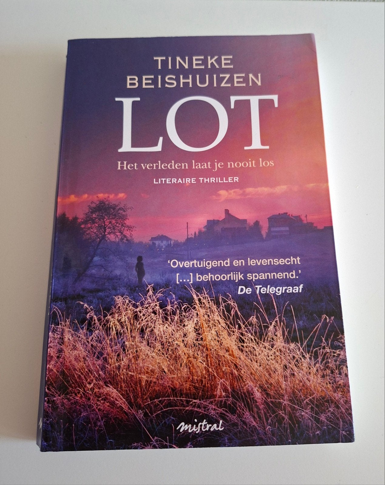 Tineke Beishuizen. LOT. Literaire thriller. Mooi boek., Ophalen of Verzenden, Gelezen