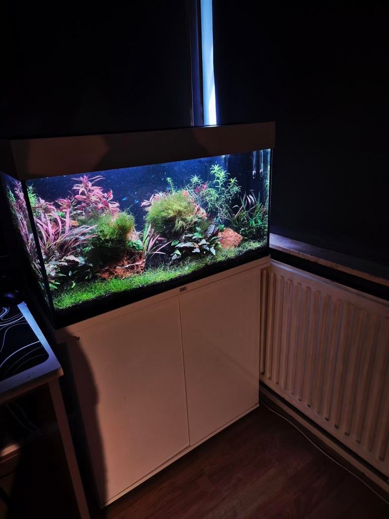 Volledige Aquarium Set, Incl Co2 Systeem & Chihiros WRGB 800, Dieren en Toebehoren, Vissen | Aquaria en Toebehoren, Ophalen