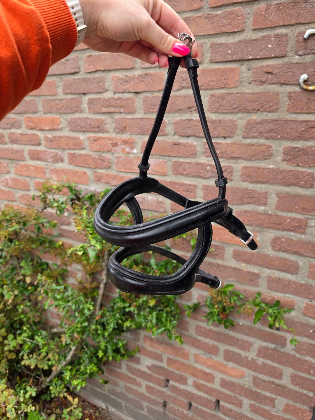 BR dubbele neusriem full, Hoofdstel, Ophalen of Verzenden, Zwart, BR