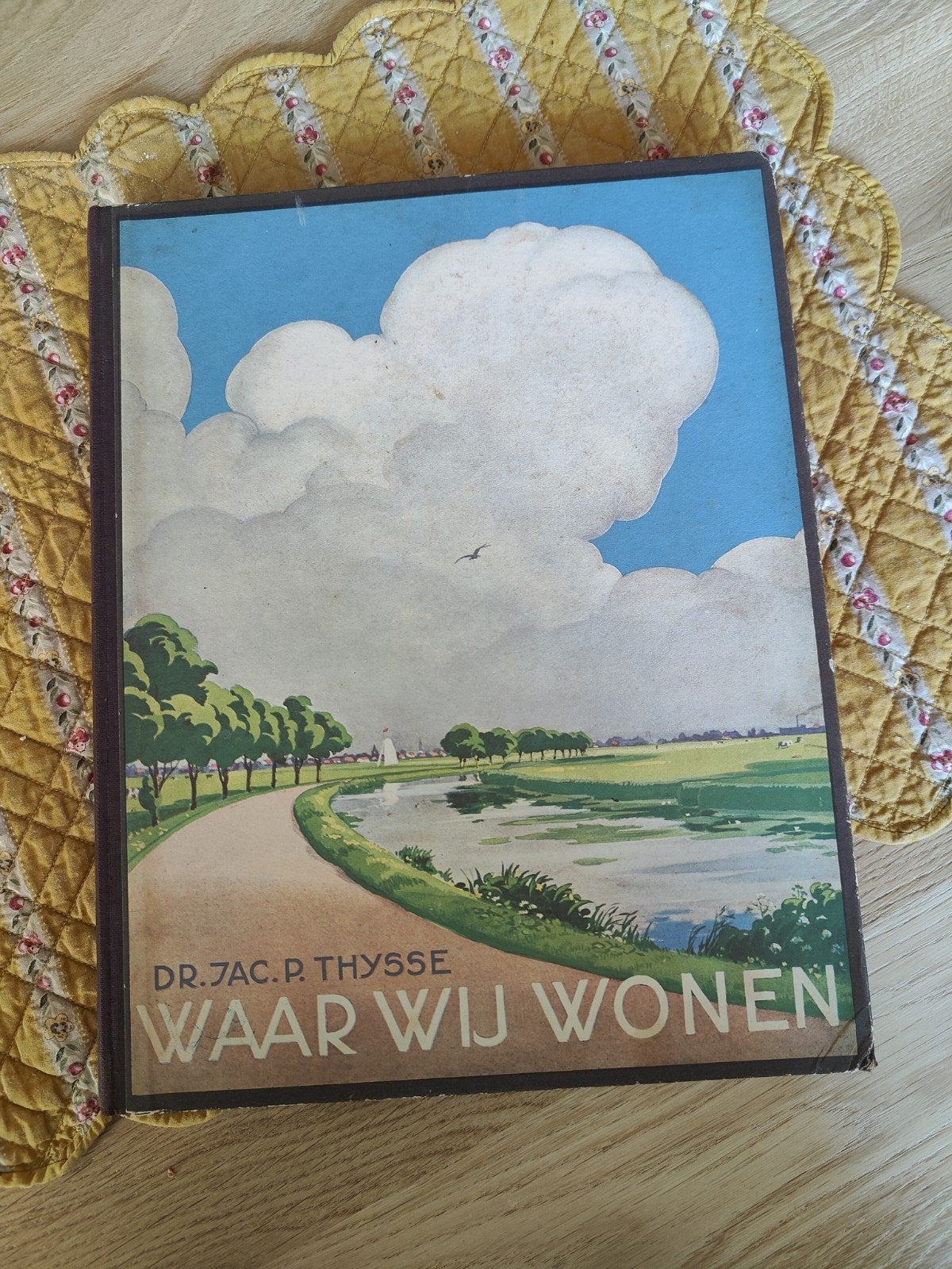 Verzamelalbum Verkade Waar Wij Wonen -, Boeken, Prentenboeken en Plaatjesalbums, Ophalen of Verzenden, Gelezen, Dr. Jac. P. Thijsse