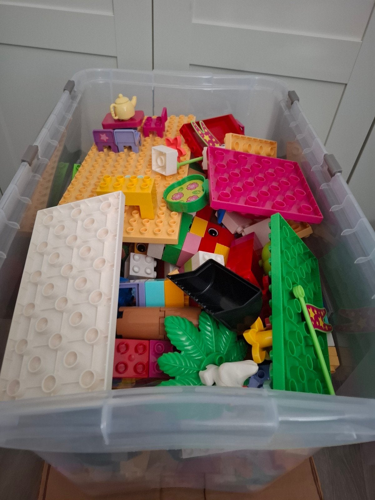grote partij Duplo, Ophalen