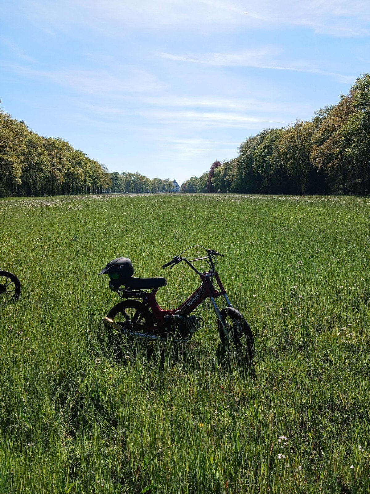 tomos 65cc (zonder kenteken), Ophalen, Gebruikt, 65 cc