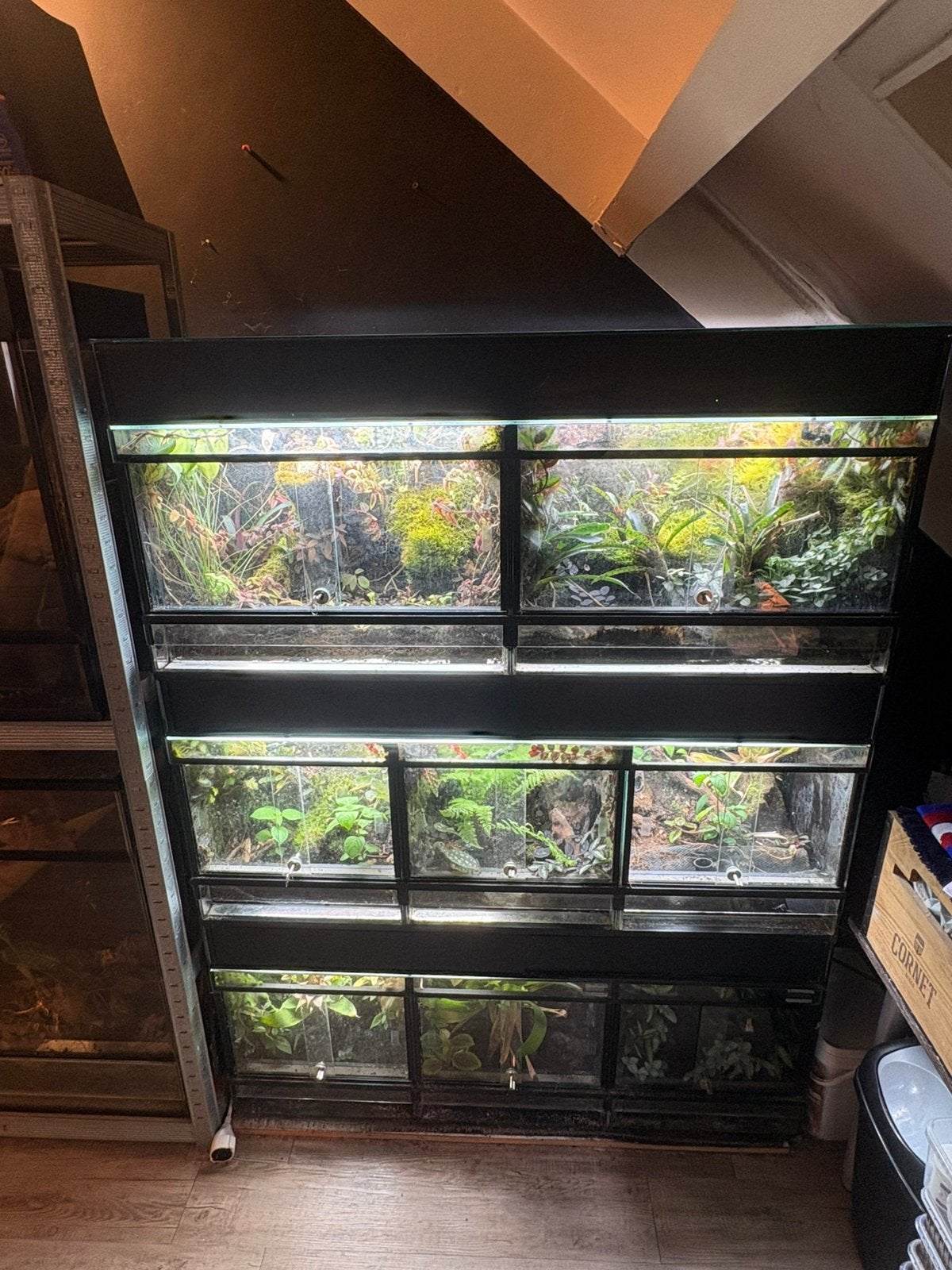 Paludarium stelling glas 120X40X155, Dieren en Toebehoren, Ophalen, Terrarium of Paludarium