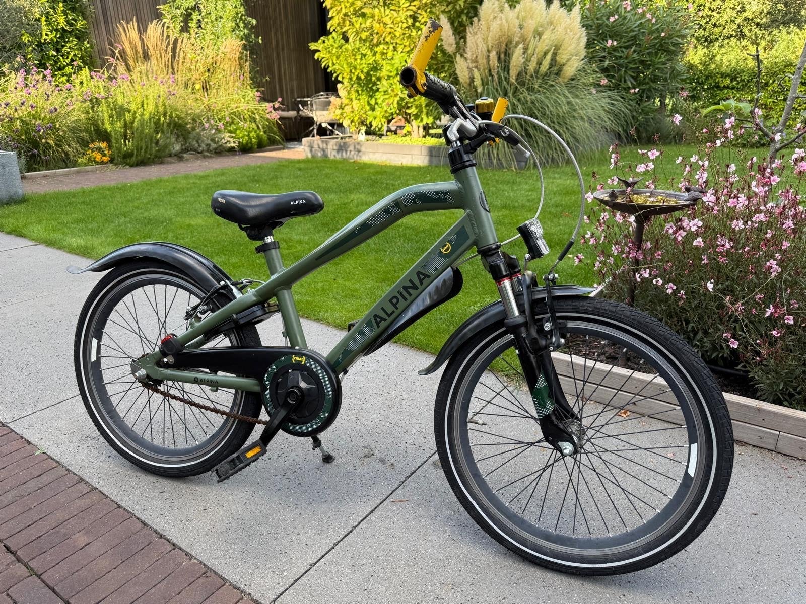 Alpina kinderfiets 20 inch - Groen, Ophalen, Gebruikt, Velgrem, 20 inch of meer