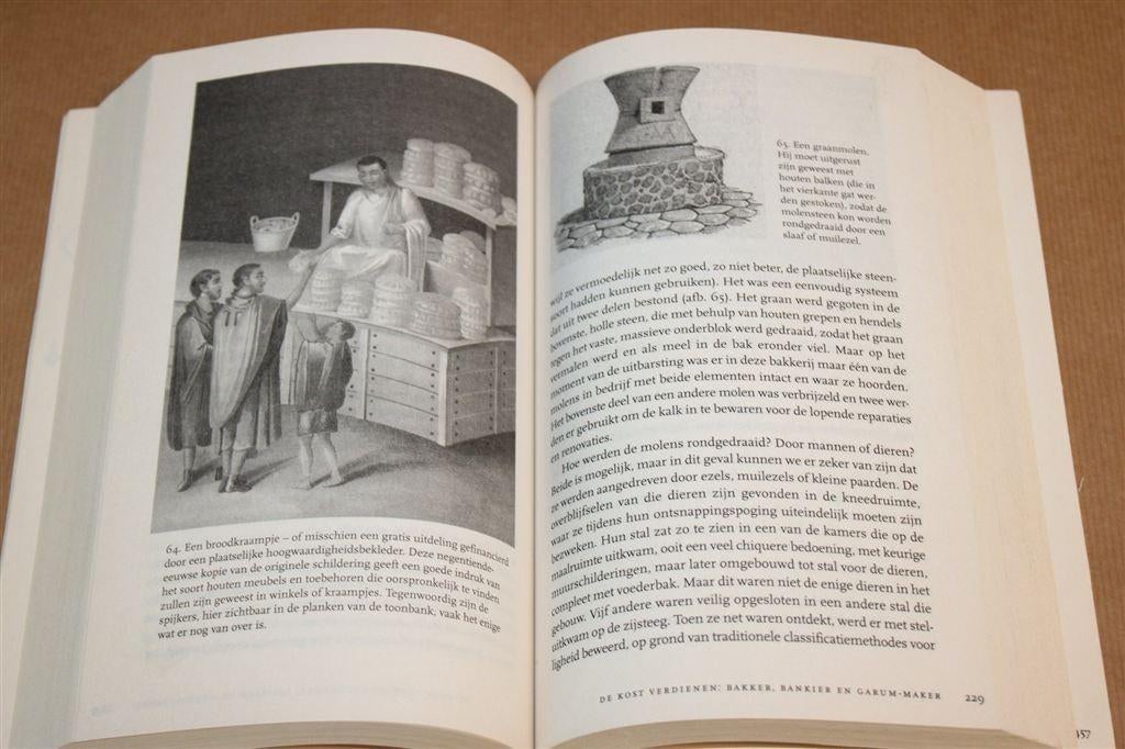 Pompeii — Mary Beard Dagelijks Leven Romeinse Stad, Boeken, Ophalen of Verzenden, 14e eeuw of eerder, Gelezen, Europa