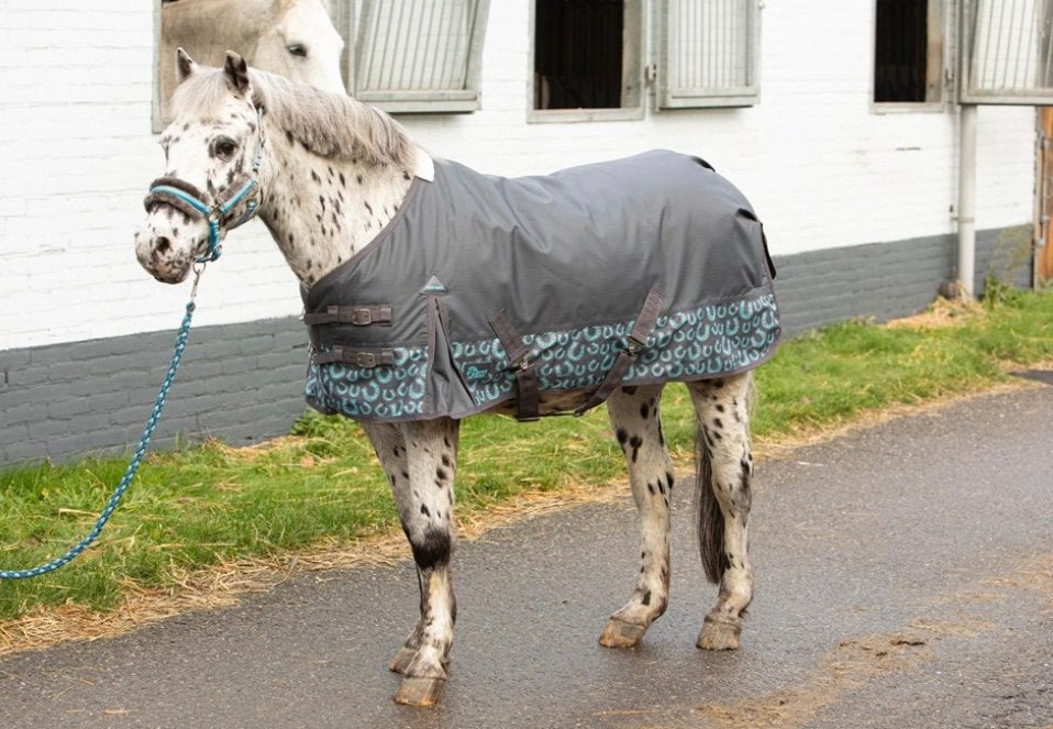 Harry’s horse outdoordeken stout beryl 200 gram nieuw 125, Dieren en Toebehoren, Paarden en Pony's | Dekens en Dekjes, Ophalen of Verzenden