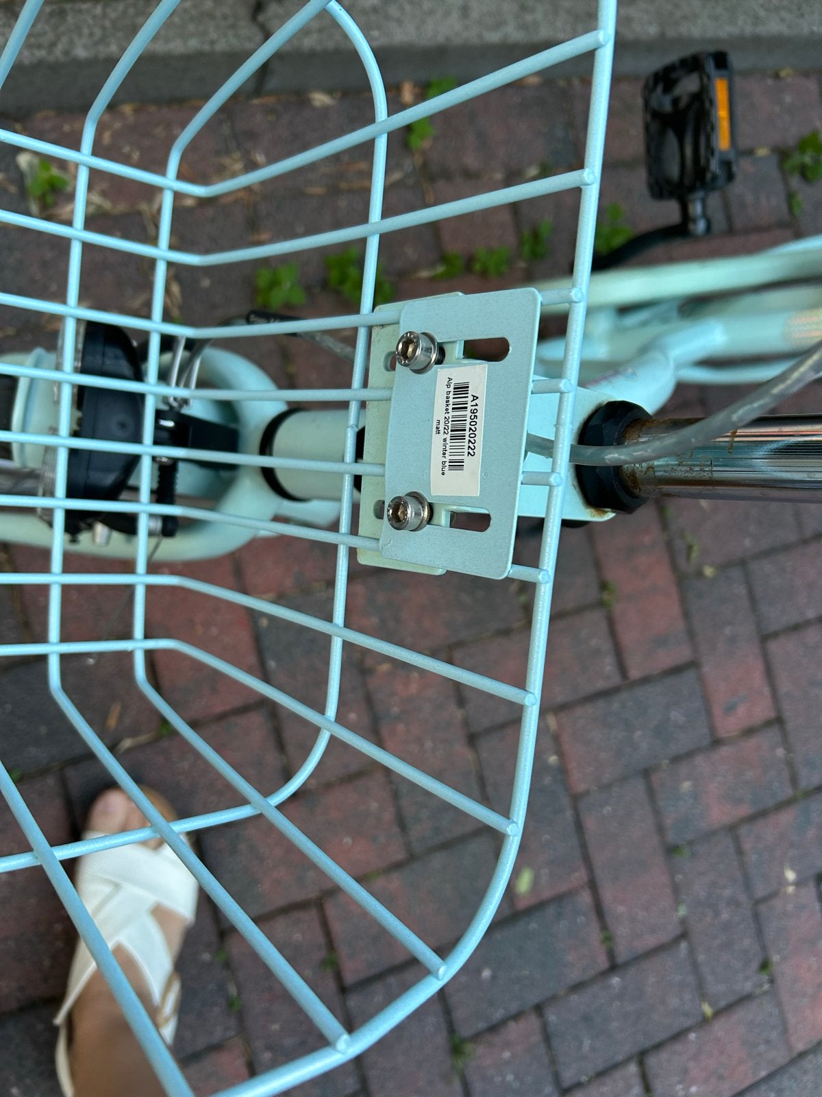 20 inch Alplina Ocean meisjesfiets met een nieuw mandje, Fietsen en Brommers, Fietsen | Meisjes, Ophalen, Terugtraprem, 20 inch
