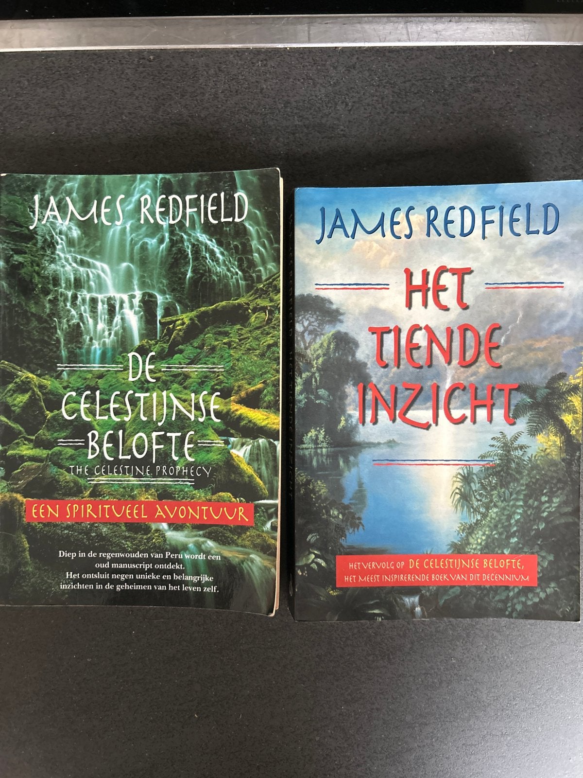 James Redfield: De Celestijnse Belofte & Het Tiende Inzicht, Ophalen of Verzenden, Gelezen, Nederland