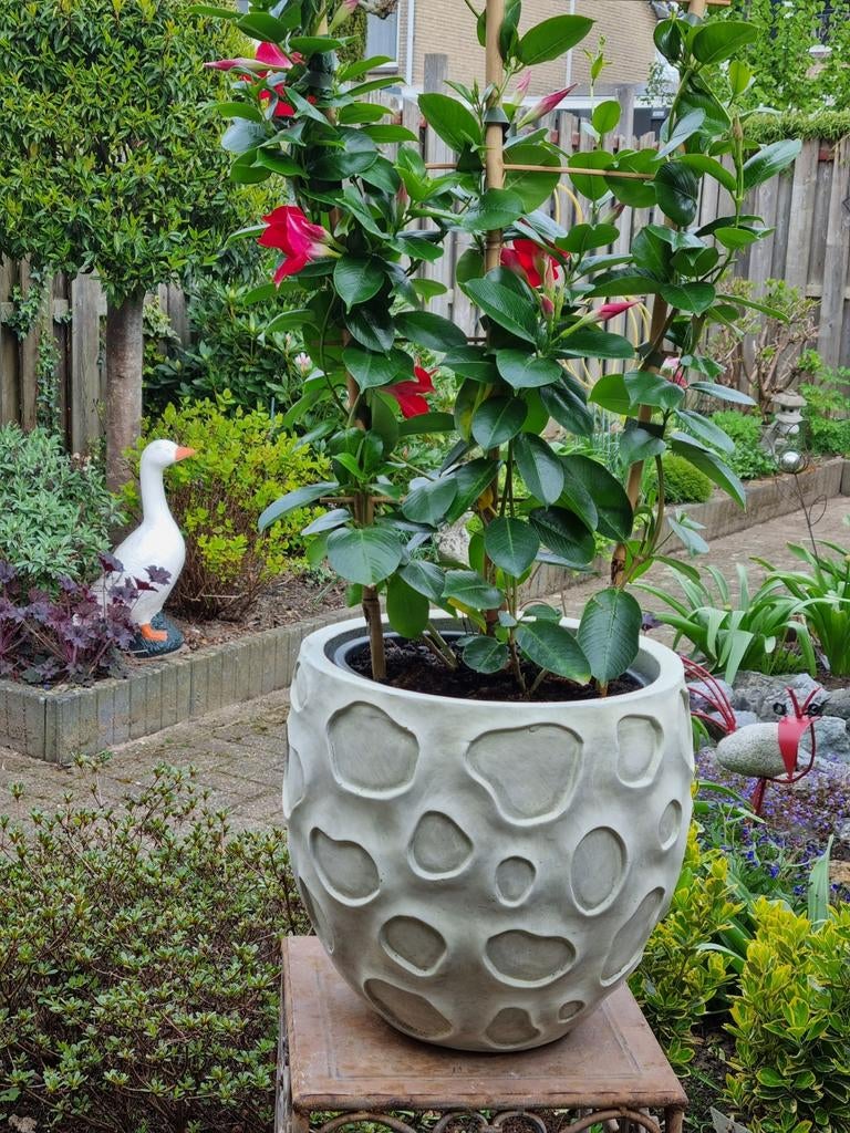 🪴  BLOEMPOT voor buiten                    LAAG OF HOOG, Overige materialen, Rond, Zo goed als nieuw, Minder dan 40 cm