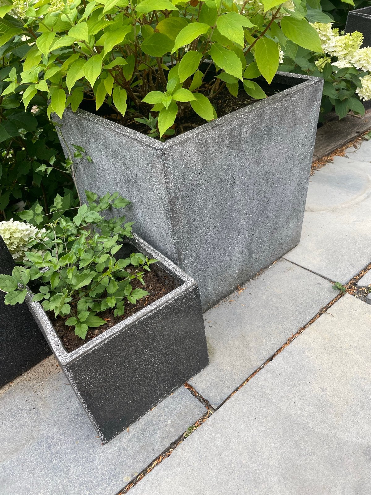 Meerdere betonlook plantenbakken, Kunststof, Gebruikt, Vierkant, Binnen