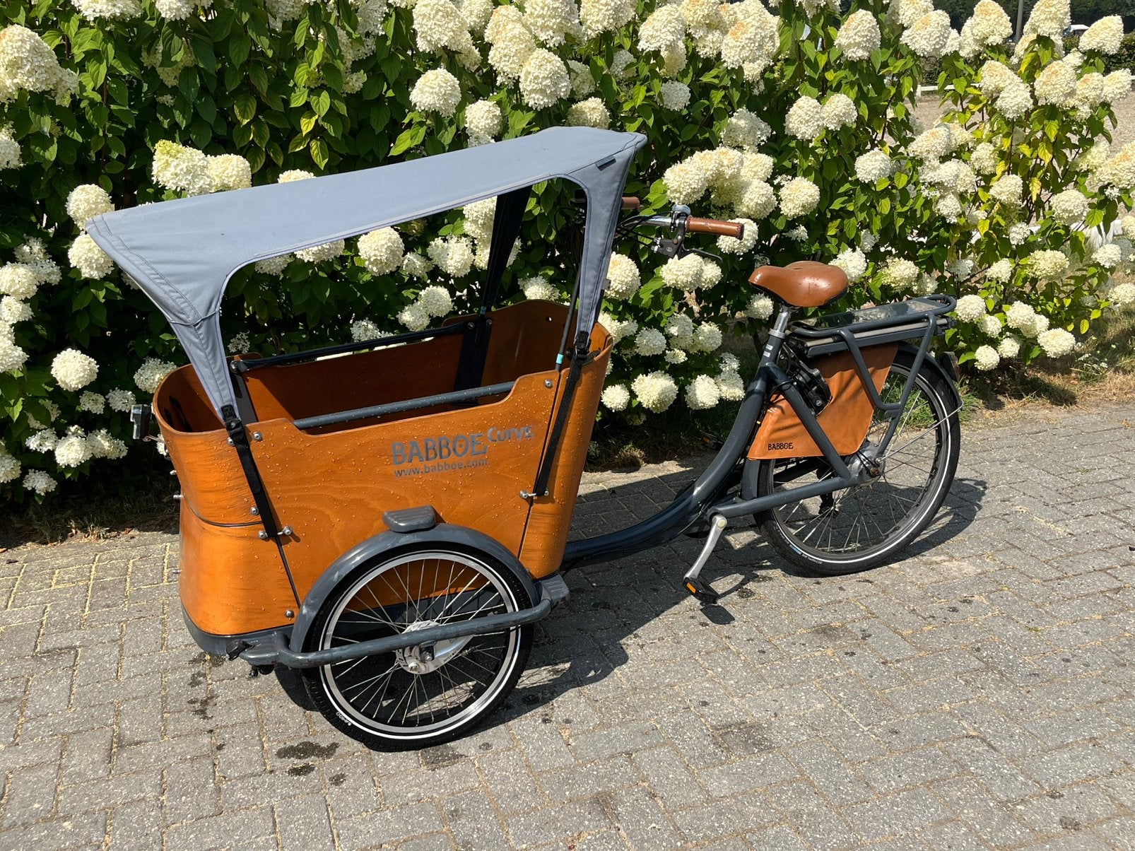 Babboe Curve bakfiets - Ideaal voor gezinnen, Ophalen, Gebruikt, Schijfrem, 2 kinderen