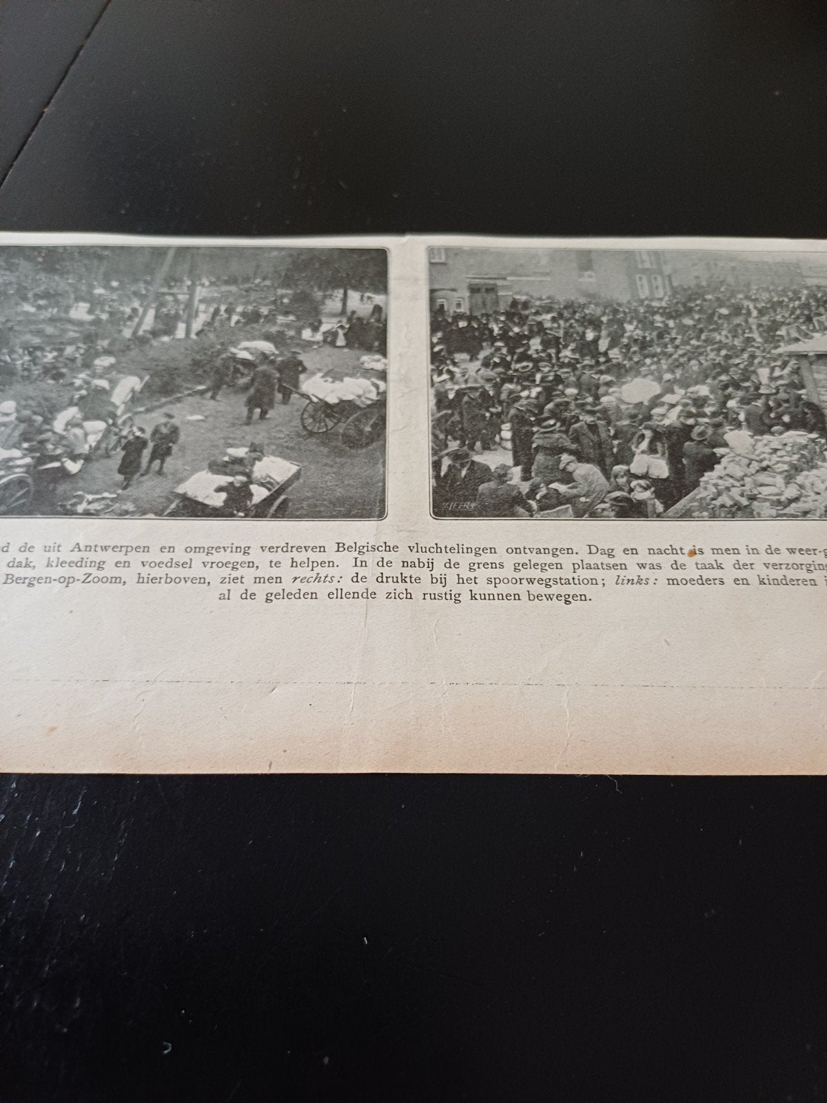 knipsel Bergen op zoom  vluchtelingen 1915, Ophalen of Verzenden, Voor 1920, Knipsel(s)