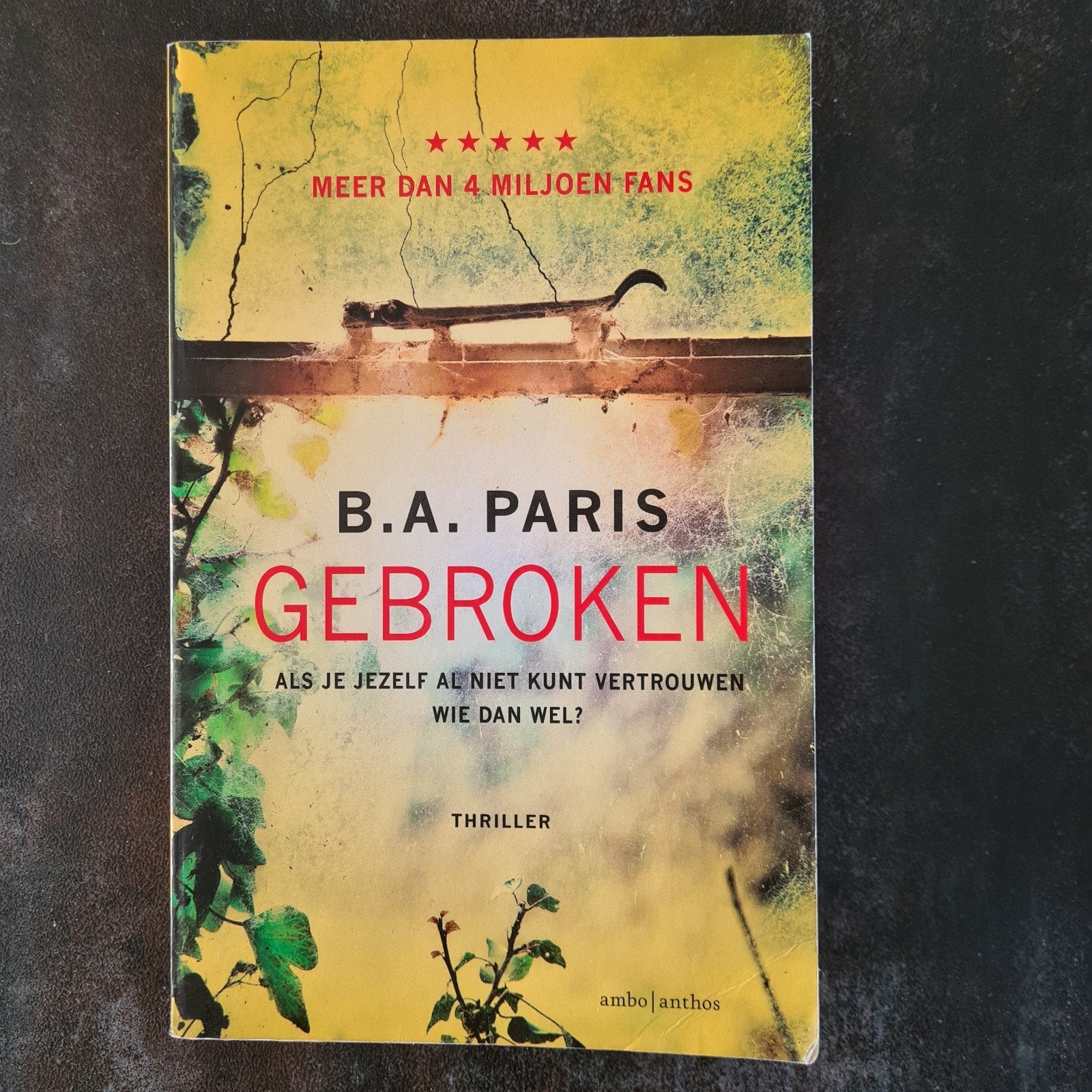 Gebroken  B.A. Paris, Boeken, Ophalen of Verzenden, Gelezen