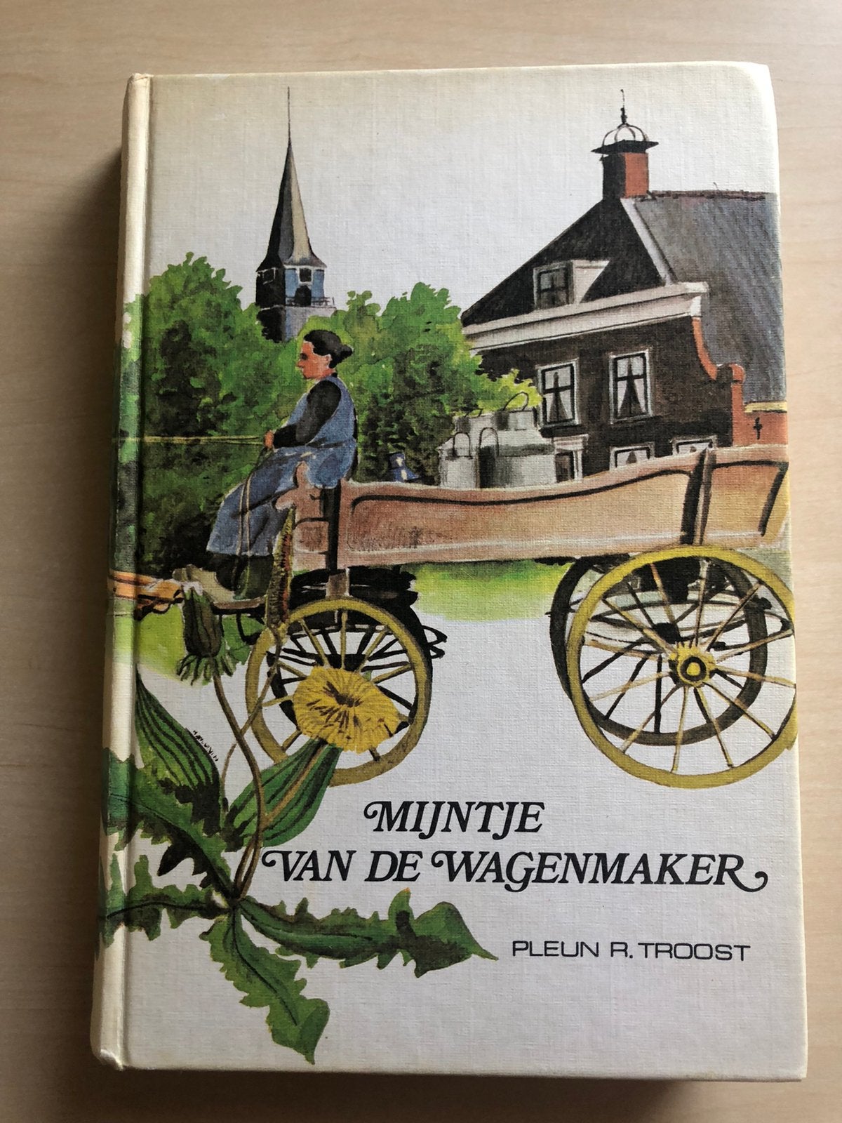 Mijntje van de Wagenmaker door Pleun R. Troost, Ophalen of Verzenden