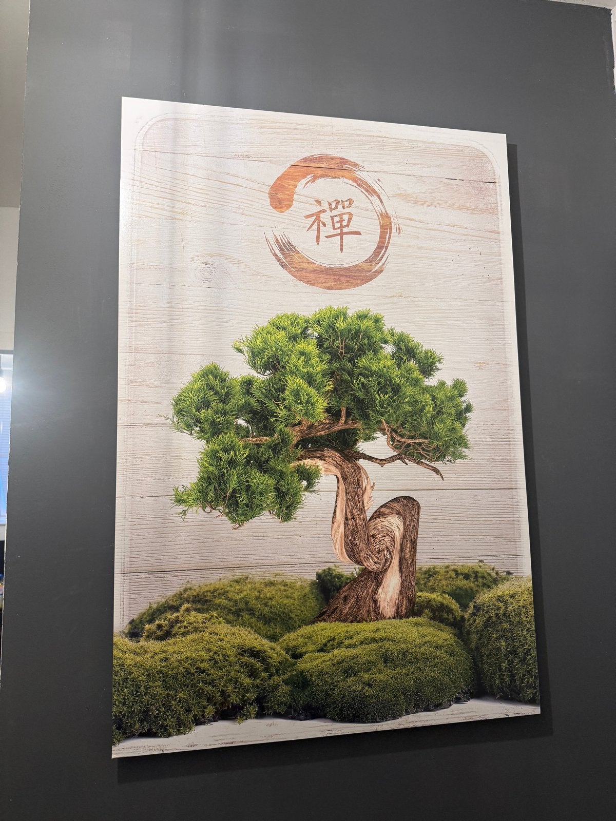 Zen Bonsai Boom Canvas Schilderij - Rustgevende Kunst, Huis en Inrichting, Woonaccessoires | Schilderijen, Tekeningen en Foto's