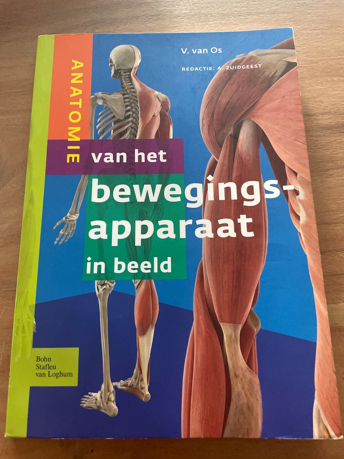 Anatomie van het bewegingsapparaat in beeld - waterschade, Boeken, Studieboeken en Cursussen, Ophalen of Verzenden, Beta, Gelezen