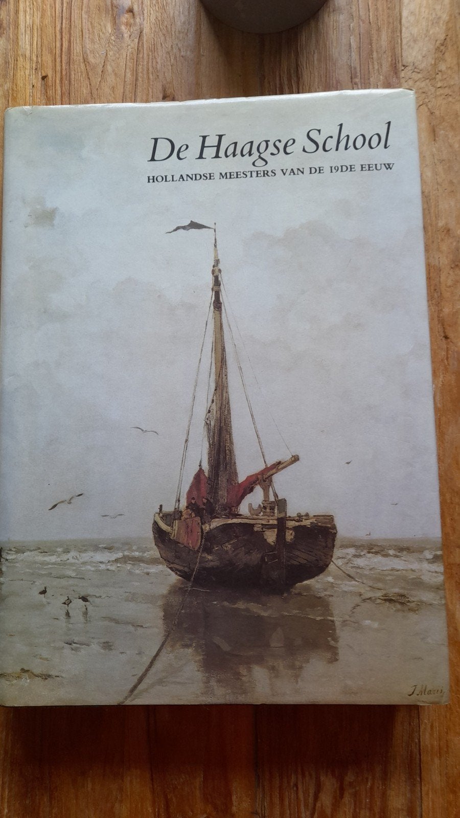 De Haagse School: Hollandse Meesters van de 19e Eeuw, Ophalen of Verzenden, Gelezen, Schilder- en Tekenkunst