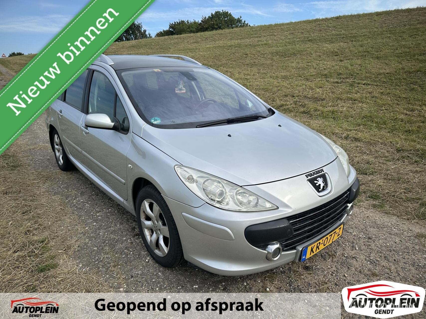 Peugeot 307 SW 1.6-16V 6 persoons, Gebruikt, 4 cilinders, 715 kg, 7 stoelen