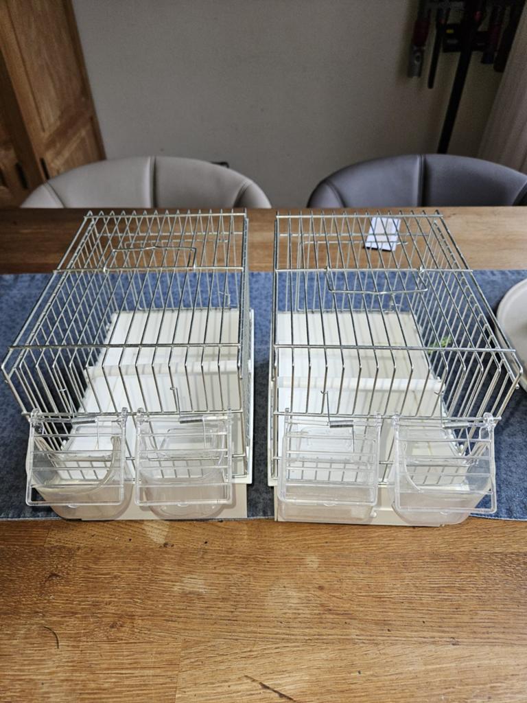 vogelkooitjes, Ophalen, Hout, Vogelkooi