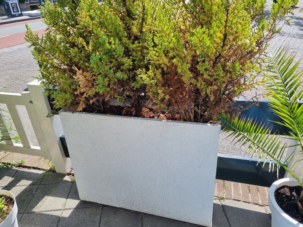 Plantenbakken, Tuin en Terras, Bloembakken en Plantenbakken, Ophalen, Kunststof, Gebruikt, 100 cm of meer