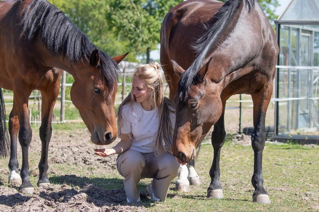 Voedingstherapeut voor paarden, Ophalen of Verzenden