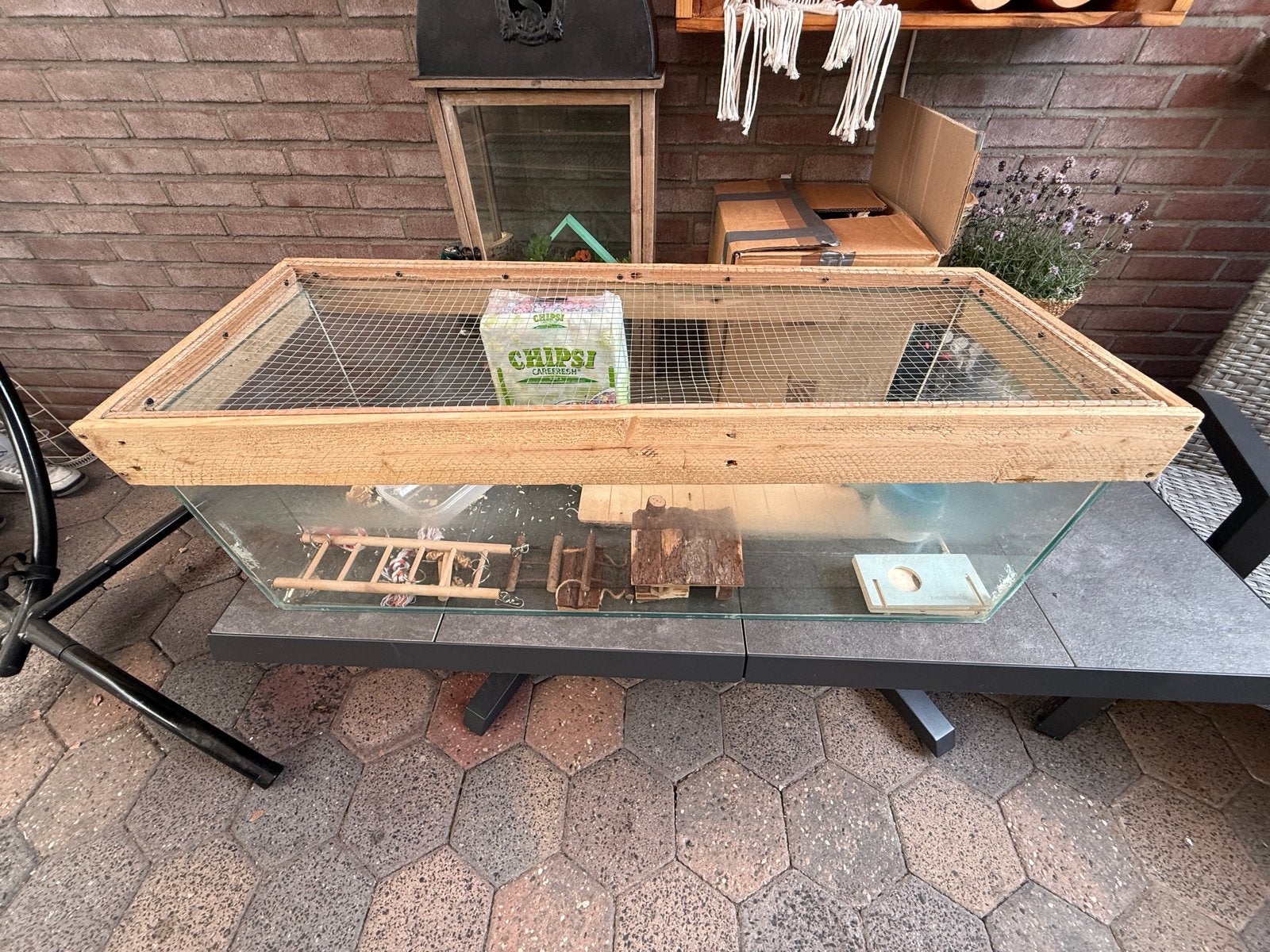 Hamsterscaping terarium hamsterkooi, Dieren en Toebehoren, Knaagdieren en Konijnen | Hokken en Kooien, Kooi, Gebruikt, Hamster