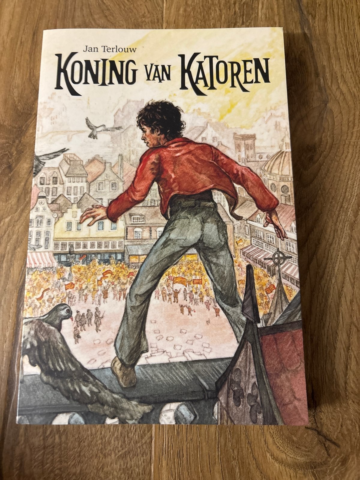 Koning van Katoren - Jan Terlouw (Jeugdliteratuur), Ophalen of Verzenden, Zo goed als nieuw, Fictie