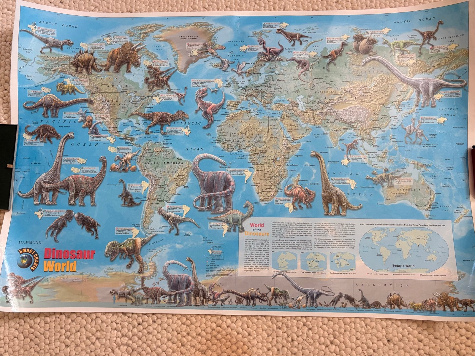 Geplastificeerde Dino Poster - 94x64 cm, Verzamelen, Ophalen, Gebruikt, Deurposter of groter, Rechthoekig Liggend