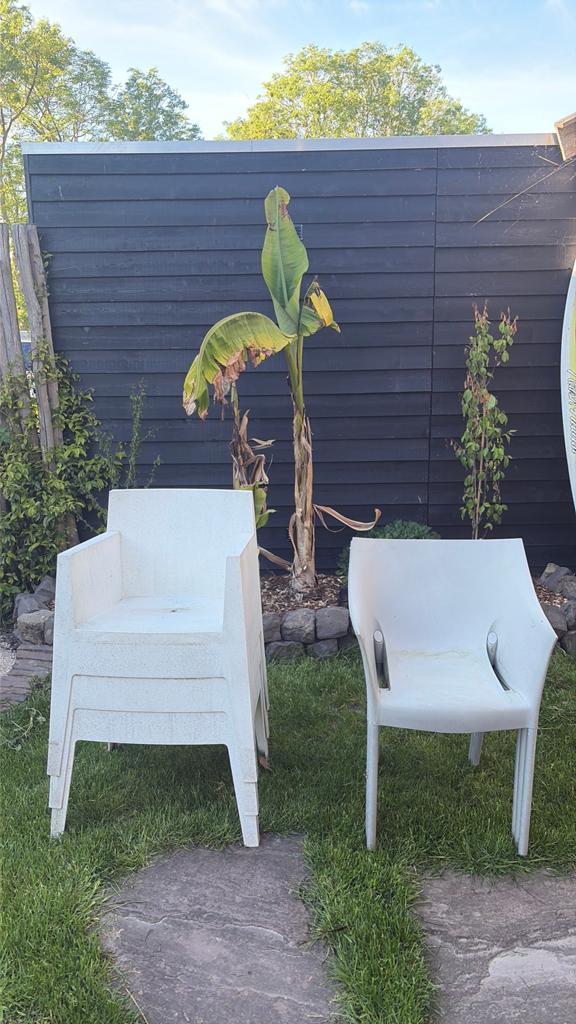 6 stapelbare design tuinstoelen kunststof, Tuin en Terras, Tuinstoelen, Gebruikt, Kunststof, Stapelbaar, Ophalen