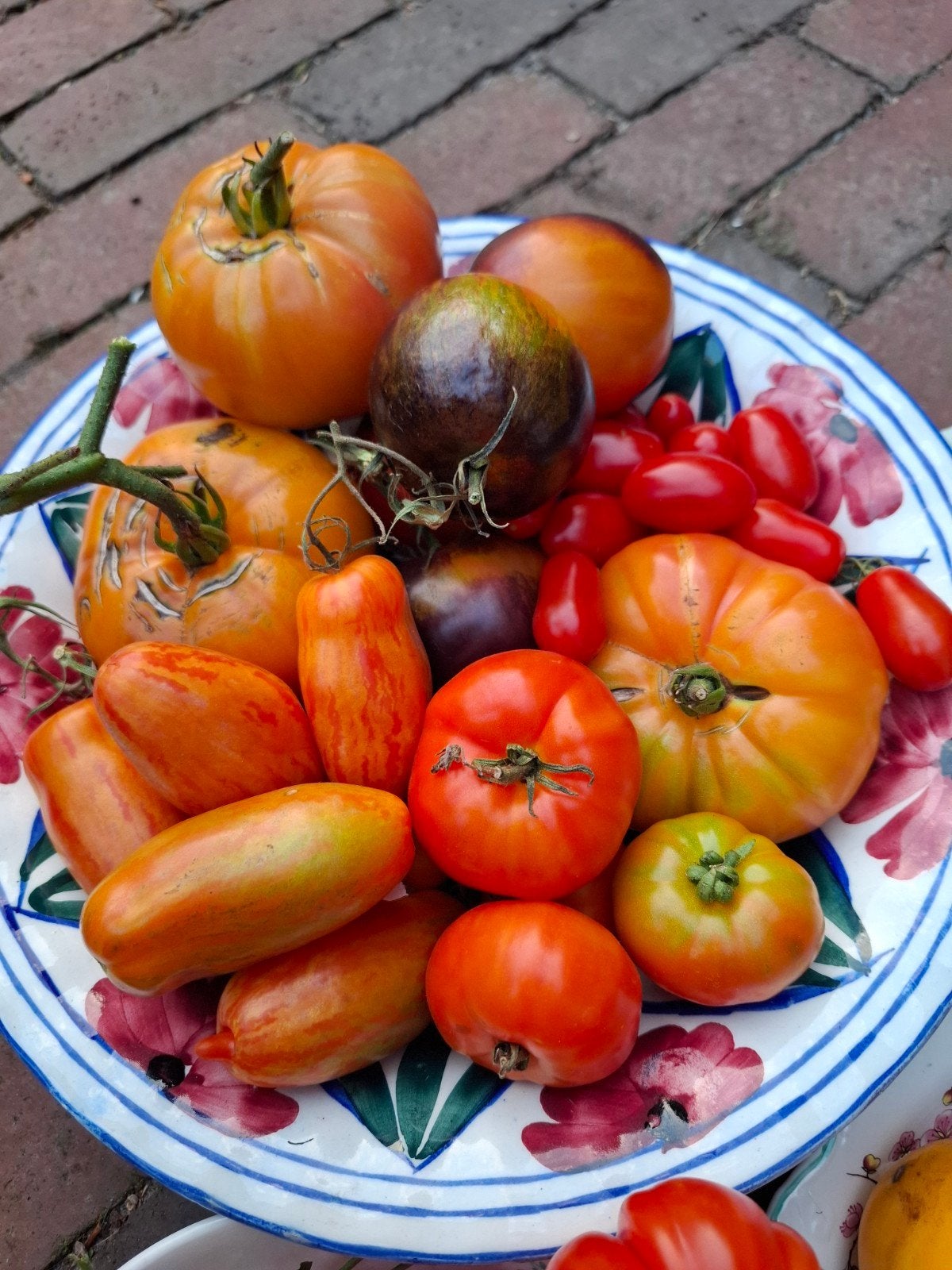 set van 50 soorten tomatenzaden bio heirloom 250 zaden, Ophalen of Verzenden, Volle zon, Zaad