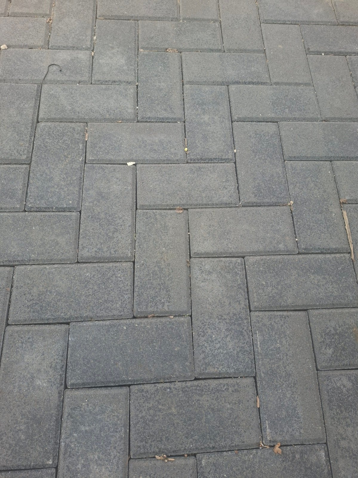 circa 100 vierkante meter klinkers  zwart/grijs, Ophalen, Beton, Klinkers